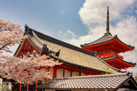 Kiyomizu-dera, Japanese Buddhist temple in Kyoto during cherry blossom sakura seasonのeditorial素材