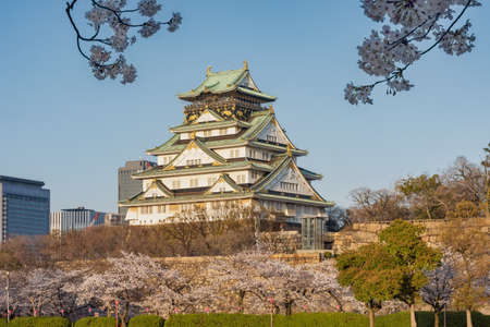 Beautiful Osaka castle with blooming cherry blossoms in Sakura spring season in Osaka, Japanのeditorial素材