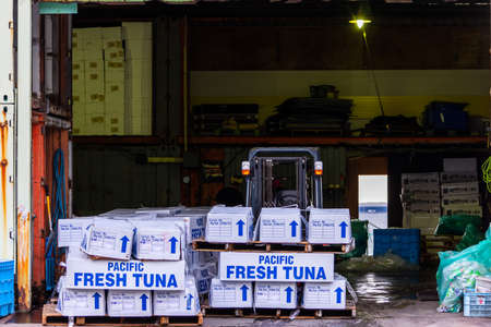 Osaka / Japan - September 28, 2017: Boxes of Pacific fresh tuna in a fishing storage facility in Osaka, Japanのeditorial素材