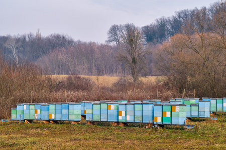 Colorfully painted wooden beehives, honey bee farm in nature image stock