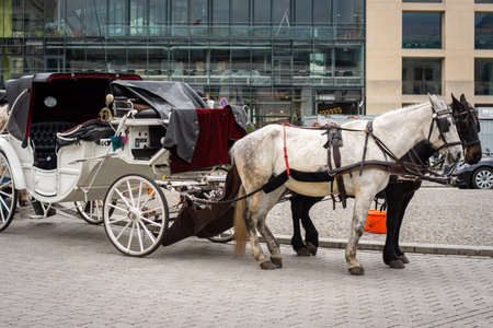 Tourist horse chariot on Pariser Platz in Berlin, the capital of Germanyの写真素材