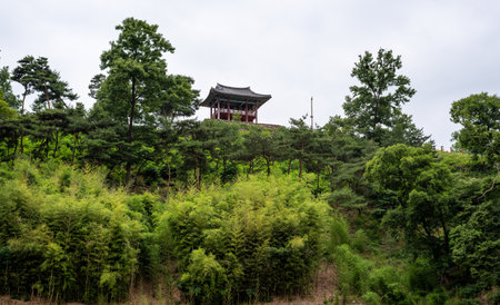 Gongsanseong old Baekje Kingdom fortress in Gongju, Chungcheongnam province, South Korea on 19 June 2022のeditorial素材