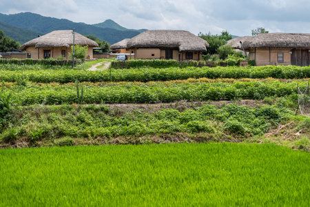 Hahoe traditional Folk Village in Andong South Korea, UNESCO site, on 17 July 2022のeditorial素材