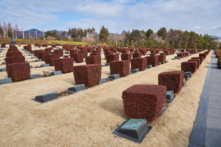United Nations Memorial Cemetery in Busan South Korea on 16 February 2023のeditorial素材