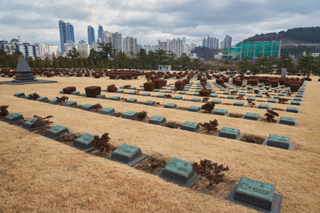 United Nations Memorial Cemetery in Busan South Korea on 16 February 2023のeditorial素材