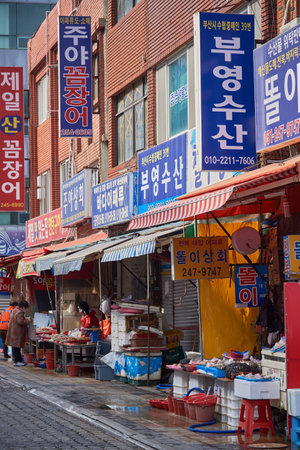 Jagalchi Fish Market the largest seafood market in Busan South Korea on 15 February 2023のeditorial素材