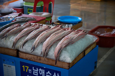 Jagalchi Fish Market the largest seafood market in Busan South Korea on 15 February 2023のeditorial素材
