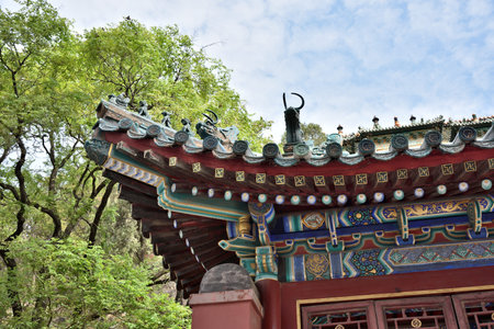 Imperial roof decorations, architectural details at Summer Palace, complex of imperial Chinese...