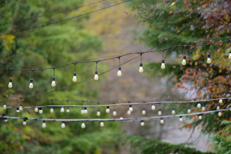 A close-up view of decorative string lights hanging outdoors, surrounded by greenery and autumn...