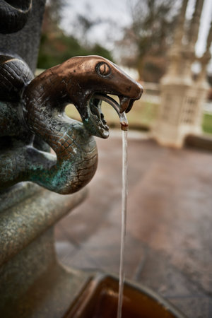 Bronze snake sculpture fountain with water flowing from its mouth.の写真素材