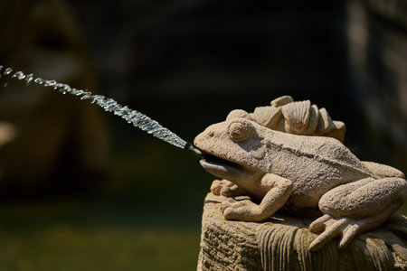 Stone frog sculpture spouting water in a garden setting.の写真素材
