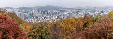 Aerial panoramic cityscape view of downtown Seoul, capital of South Korea with Autumn foliage in the foreground on 4 November 2023の写真素材
