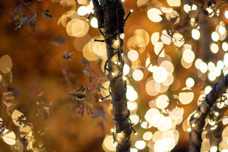 Close-up of tree branches wrapped in festive string lights with bokeh effect.