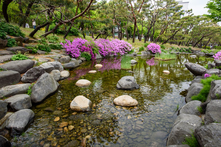 Namsangol Hanok Village traditional public park in Seoul, capital of South Korea on 25 April 2022の写真素材