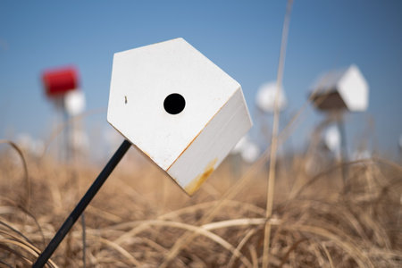 White birdhouse in a field of dry grass with blue skyの写真素材