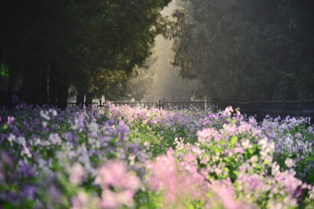 Temple of Heaven park in Spring, one of the most famous landmarks in Beijing, capital of China
