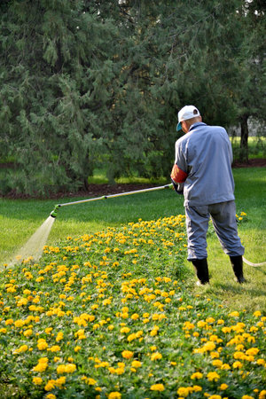 Gardener at the Temple of Heaven park, one of the most famous landmarks in Beijing, China on 21 April 2024の写真素材