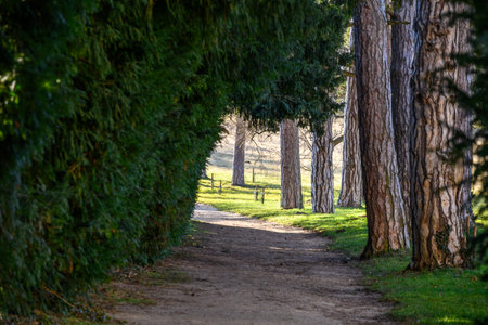 Gardens of Valtice palace, UNESCO World Heritage site in the South Moravia region in Valtice, Czech Republic on 9 February 2025の写真素材