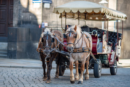 Horse drawn carriage, popular form of sightseeing for tourists visiting historic Old town district of Dresden, Saxony province of Germany on 8 September 2024の写真素材