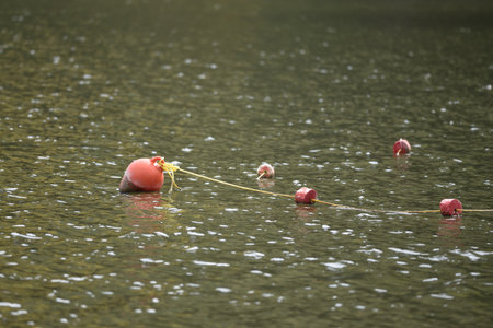A bright orange buoy floating on a calm water surface, with several red markers partially submerged, creating a serene and tranquil sceneの写真素材