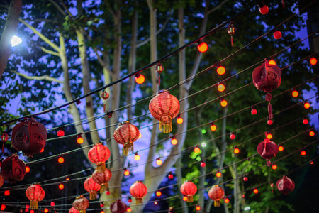 Red lanterns at night hanging on strings with trees in the backgroundの写真素材