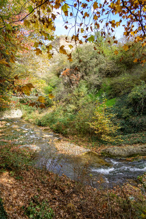 Autumn foliage in the National Botanical Garden in Sololaki hills in Tbilisi, capital of Georgiaの写真素材