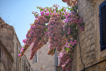 Jelsa old town on the Adriatic island of Hvar in the county of Split-Dalmatia in Croatia on 24 August 2024の写真素材