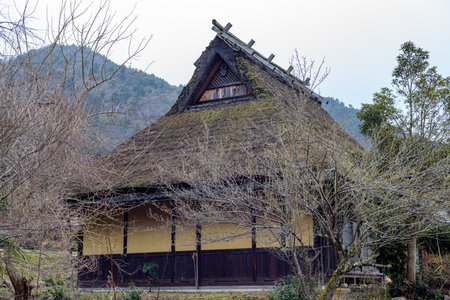 Traditional thatched roof houses of Miyama village in Kyoto Prefecture in Japan, made using kayabuki grass roofing technique, a UNESCO Intangible Cultural Heritage on 17 February 2024の写真素材