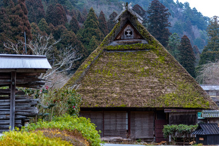 Traditional thatched roof houses of Miyama village in Kyoto Prefecture in Japan, made using kayabuki grass roofing technique, a UNESCO Intangible Cultural Heritage on 17 February 2024の写真素材
