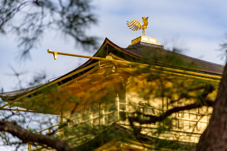 Kinkakuji temple Golden Pavillion, Zen Buddhist temple in Kyoto, Japan, UNESCO world heritage siteの写真素材