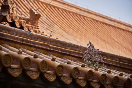 Rooftop of the Temple of Earth (Ditan Temple), built in 1530 during the Ming dynasty in Beijing,...