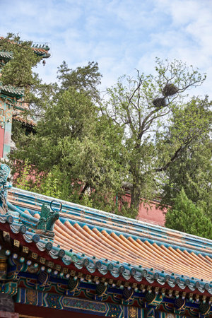 The Summer Palace, complex of imperial Chinese gardens and palaces in Beijing, China on 20 April 2024の写真素材
