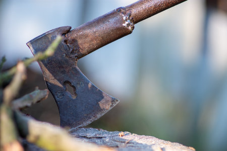 Close-up of a rusty axe head embedded in a tree stump outdoors.の写真素材