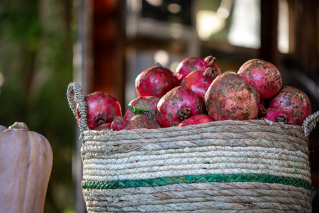 A woven basket filled with ripe pomegranates outdoors.の写真素材
