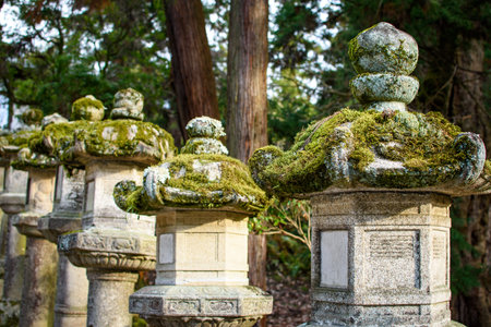 Moss-covered stone lanterns in a forest setting.の写真素材