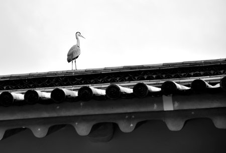A heron standing on a traditional Japanese tiled roof against a cloudy sky.の写真素材
