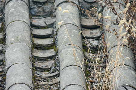Close-up of weathered gray ceramic roof tiles with moss and dry wild grasses, rustic texture...