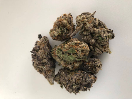 Pot in bloom isolated on whiteの写真素材