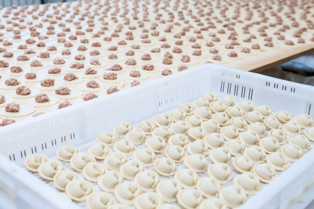 Russian raw meat dumplings. manual productionの写真素材