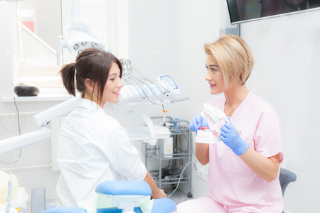 A female dentist explains to a female patient the process of brushing teeth on a mock-up. Both look at the cameraの写真素材