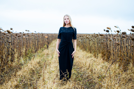 Young blond woman in black dress, in a field with faded sunflowers. Late Autumnの写真素材