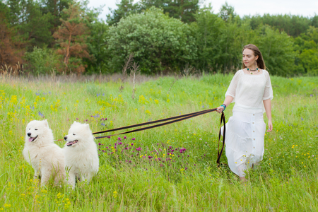 young beautiful woman standing with two big white shaggy dogs on a background of forest in the green grassの写真素材