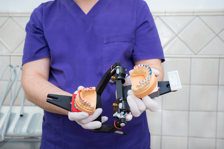 model of the jaw in the articulator in the hand of a young doctor. The dentist shows the unfolded articulatorの写真素材