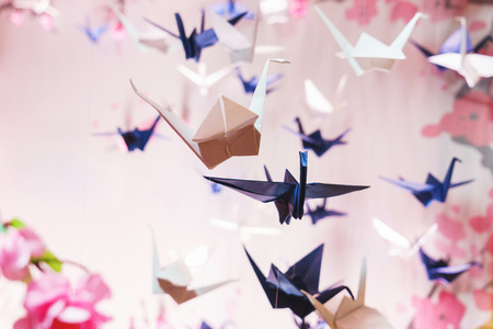 The concept of the beautiful scenery on holiday - the traditional Japanese origami on strings in the background graphics and pink of sakura blossoms. Many swans made out of paper. Soft focus.の写真素材