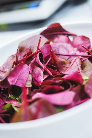 Fresh leaves of chard-salad in a white large bowl on a table in the kitchen. The process of cooking...