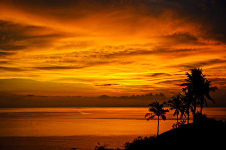 Magic tropical sunset by the ocean. Silhouettes of palm trees, bright yellow clouds, romantic beach on a tropical island during sunset. Travel and pleasure on the beach.の写真素材