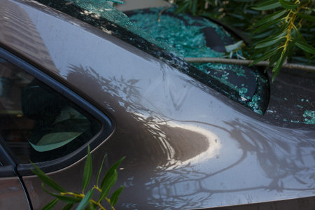 Damage close up and broken glass. Large diver fell on the car during a hurricane Accident and...
