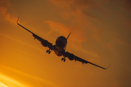 View of a jet passenger airliner during a landing in the background of a tropical dramatic sunset...