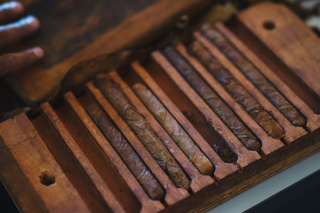 Process of making traditional cigars from tobacco leaves with own hands using a mechanical device...