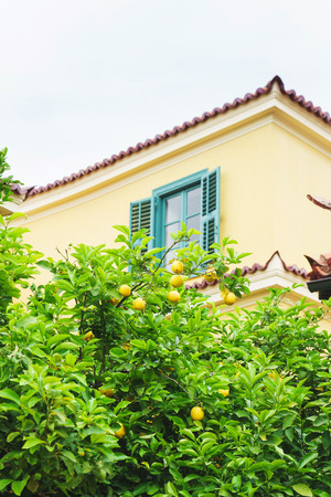 Warm sunny morning in the streets of the Greek capital. Narrow city streets on a warm summer day. Surroundings of the acropolis. Atmosphere and mood. Journey.の写真素材